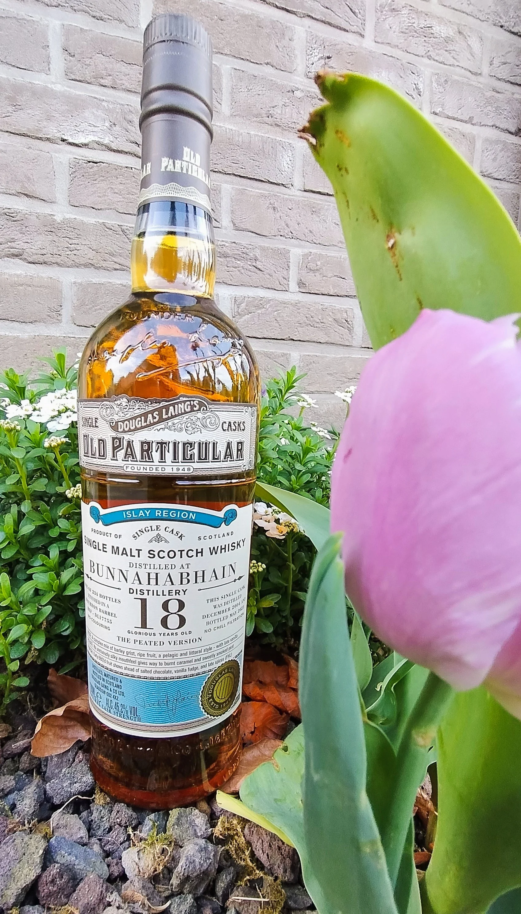 Bunnahabhain 18yo Old Particular — Dramface